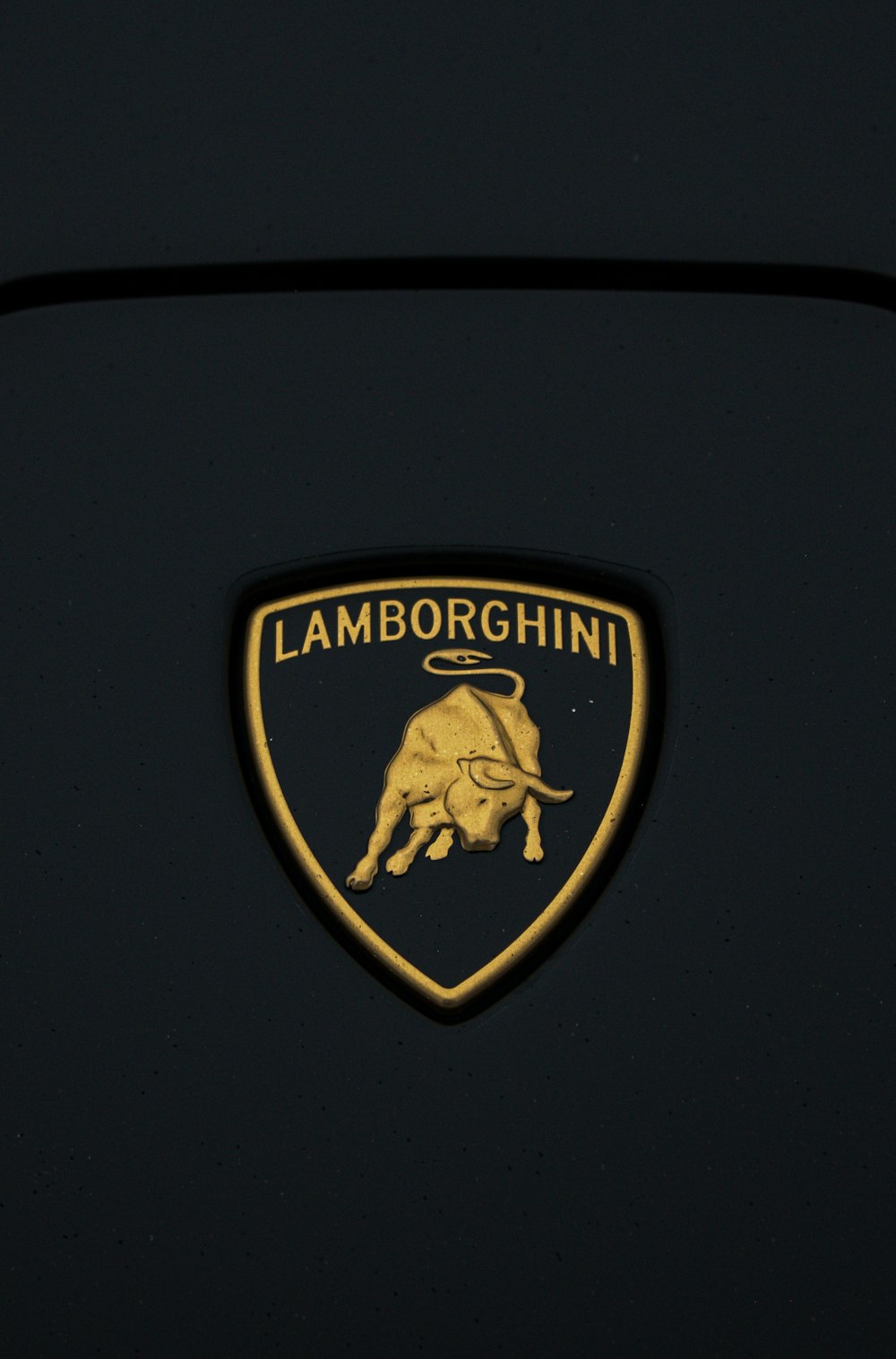 a close up of a lamb logo on a car