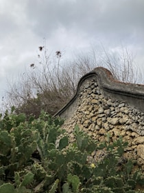 A rugged Patagonian landscape with a sturdy gabion wall blending into the natural surroundings.