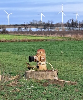An old, rusty hydrant-like structure is situated in a field of green grass. In the background, several wind turbines are visible against a cloudy blue sky, with a line of bare trees and a distant water body. The scene appears to be rural and serene.