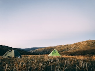 Tents set up on a grassy field under a clear sky.