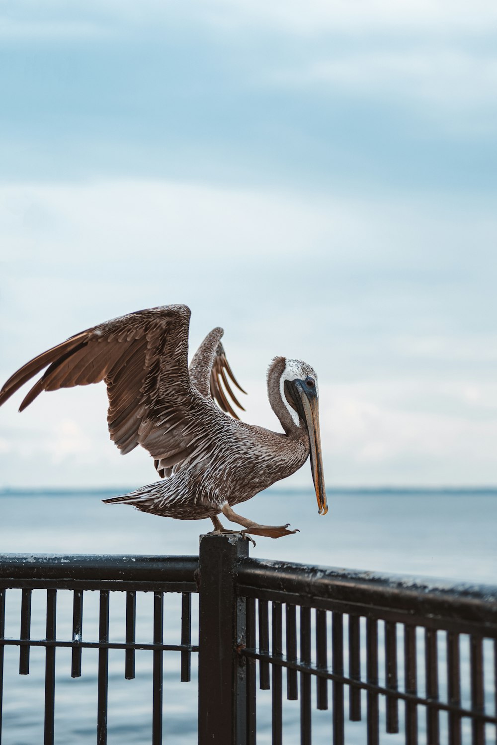 a pelican with a fish in it's mouth perches on a