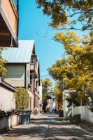 A serene neighborhood alley with lined houses features a blue sky and lush greenery. The path is paved with bricks, and garbage bins are visible along the sides. Various trees with yellow leaves create a vibrant canopy, while the bright sunlight casts distinct shadows.