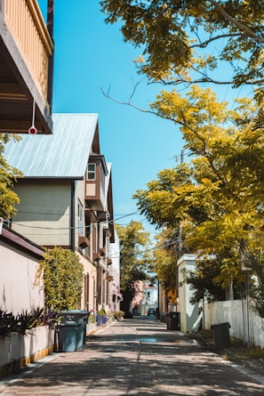 A serene neighborhood alley with lined houses features a blue sky and lush greenery. The path is paved with bricks, and garbage bins are visible along the sides. Various trees with yellow leaves create a vibrant canopy, while the bright sunlight casts distinct shadows.
