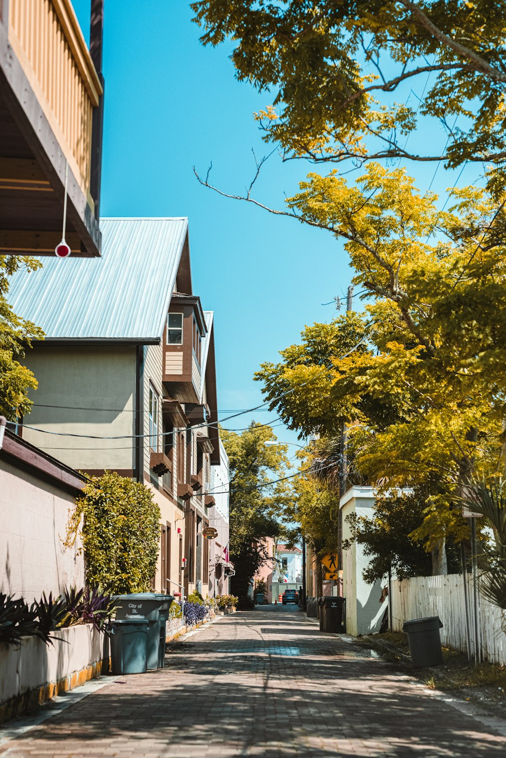 a narrow street with houses and trees on both sides