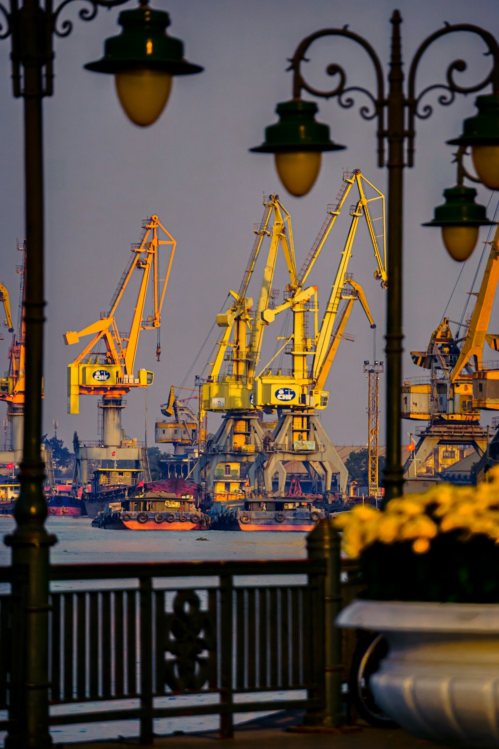 a harbor filled with lots of yellow cranes