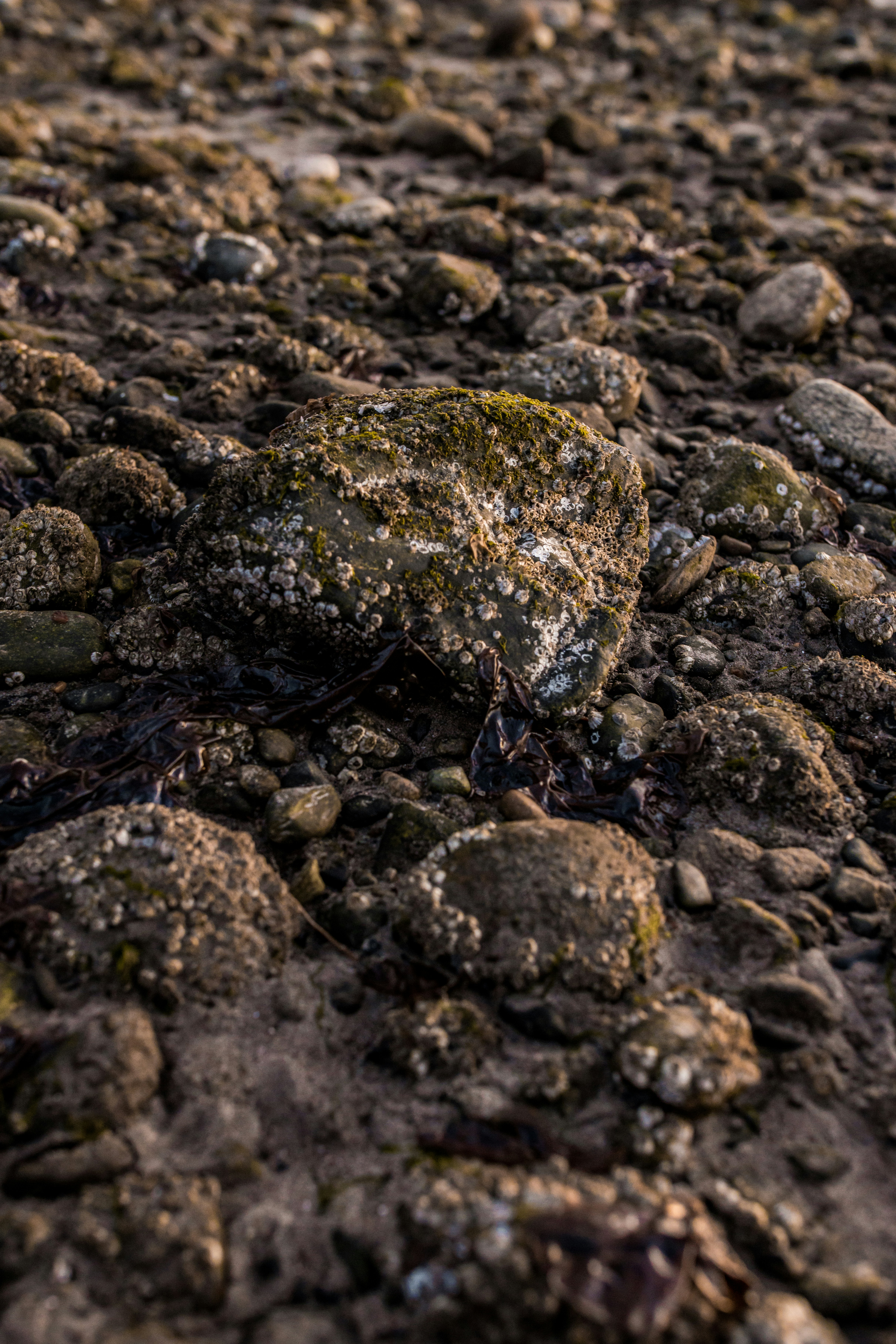 Photo by visualsbyroyalz