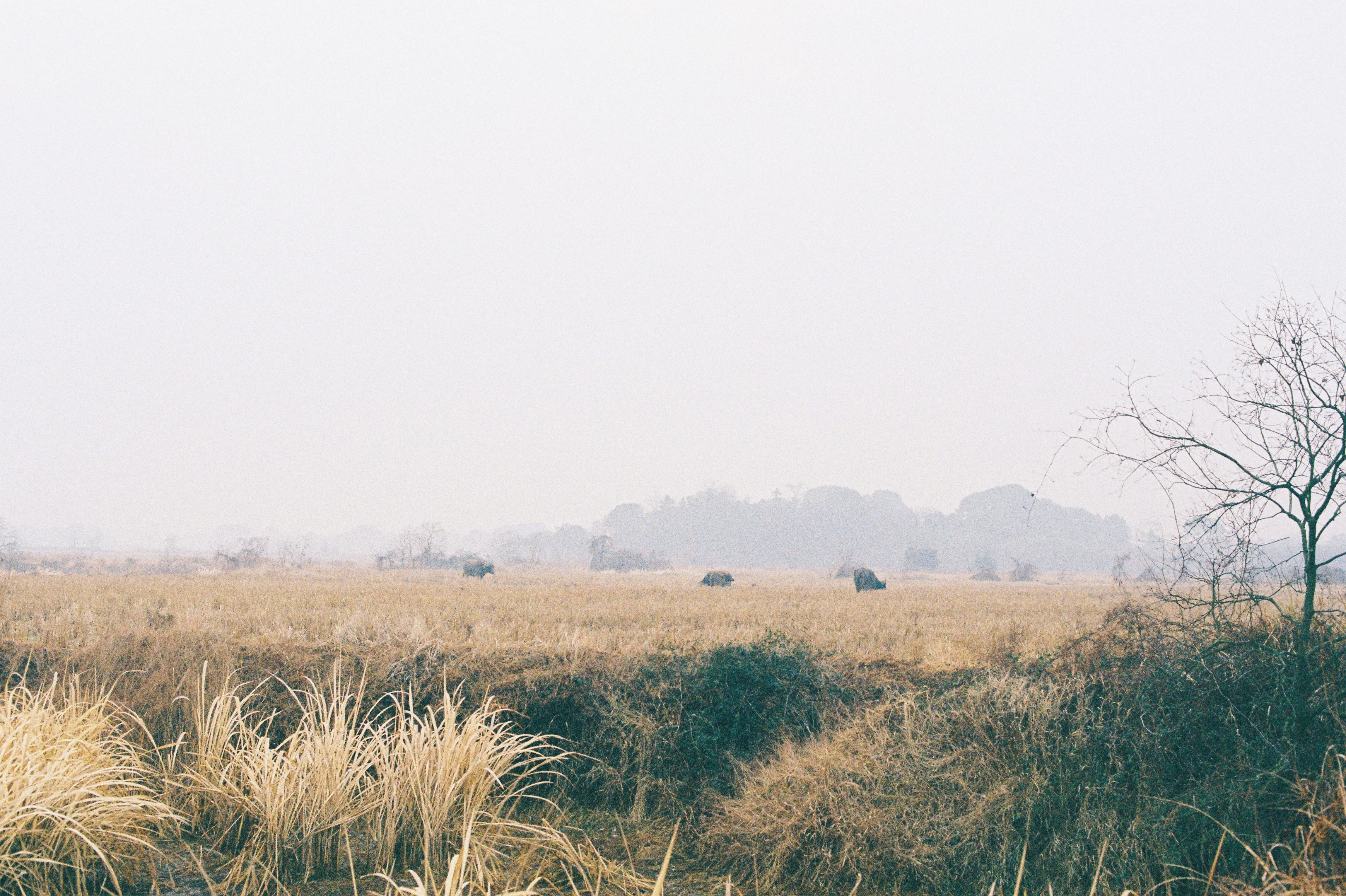 Photo by hausyang271