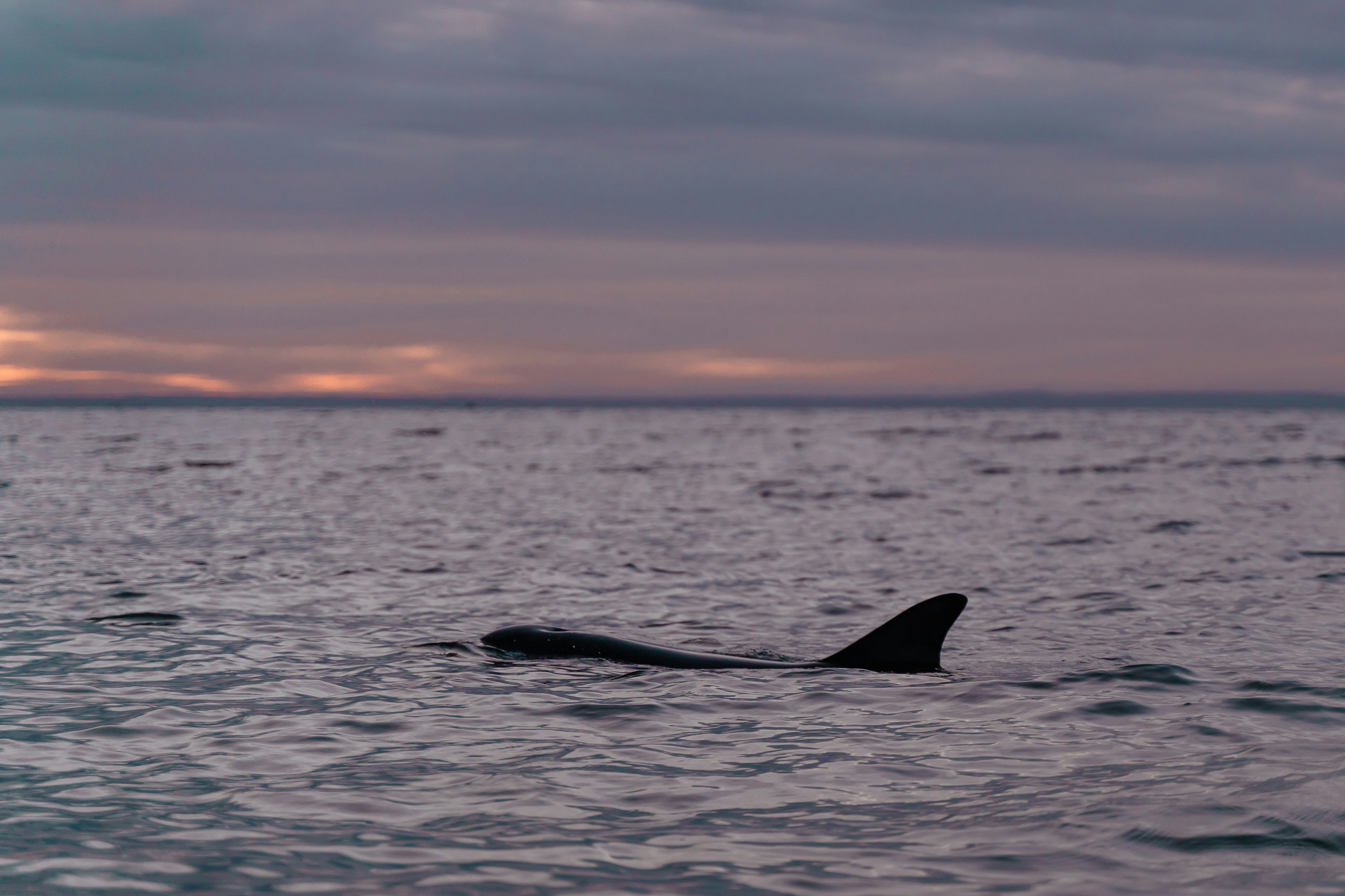 Photo by michellem18