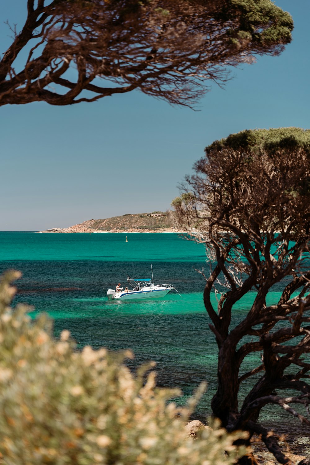 a boat is out in the water near some trees