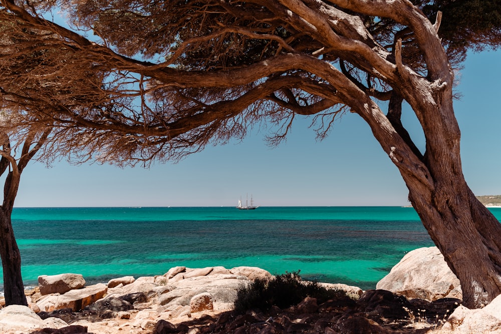 a sailboat is in the distance on the water