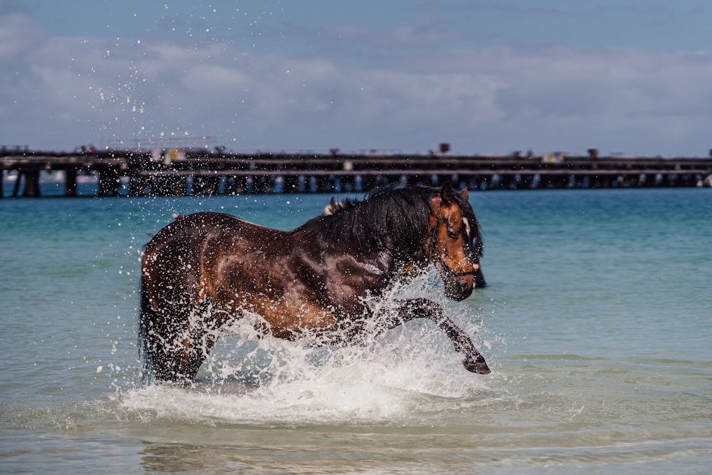a horse running through the water near a pier