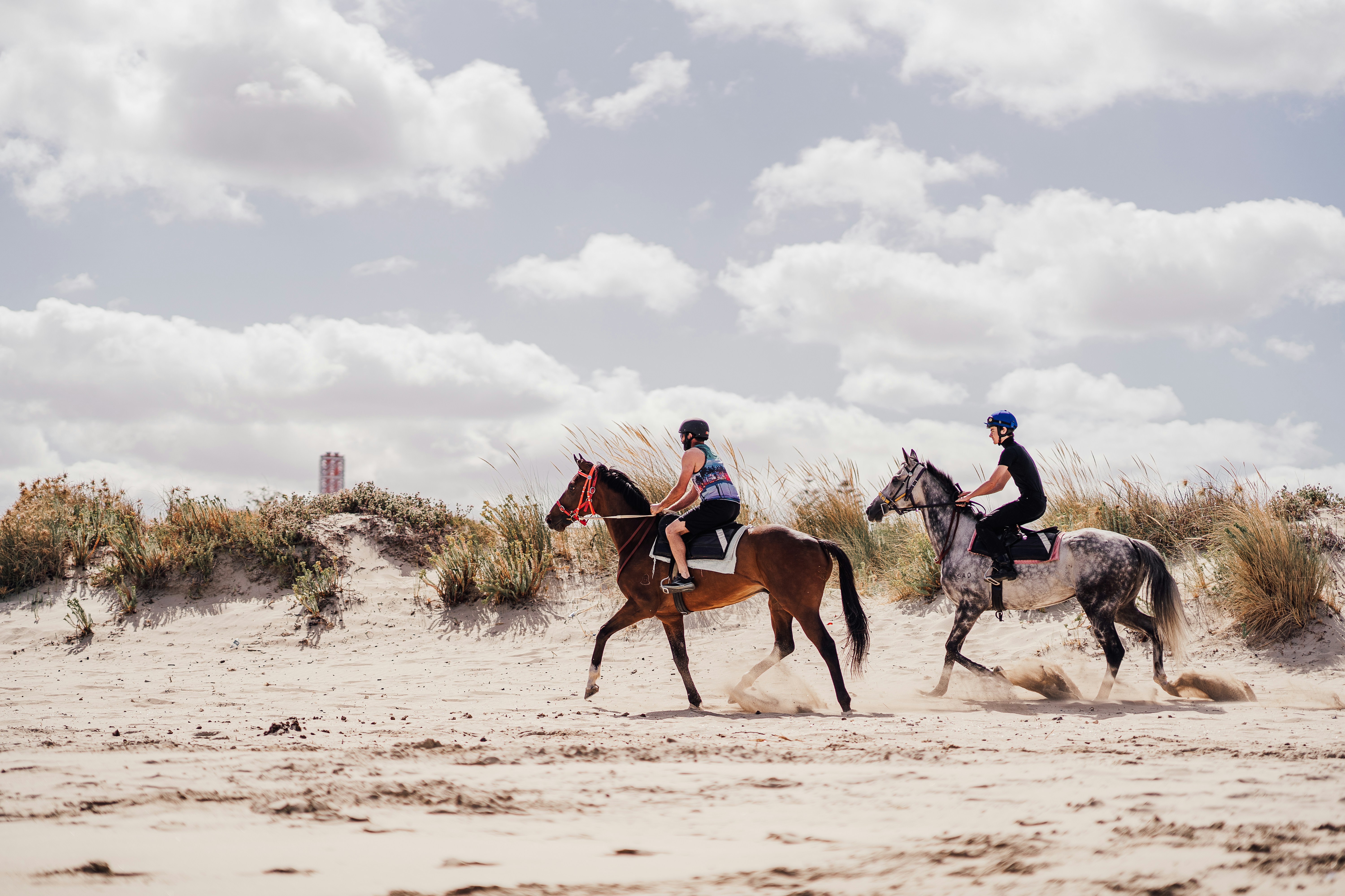 A couple riding horses on the beach