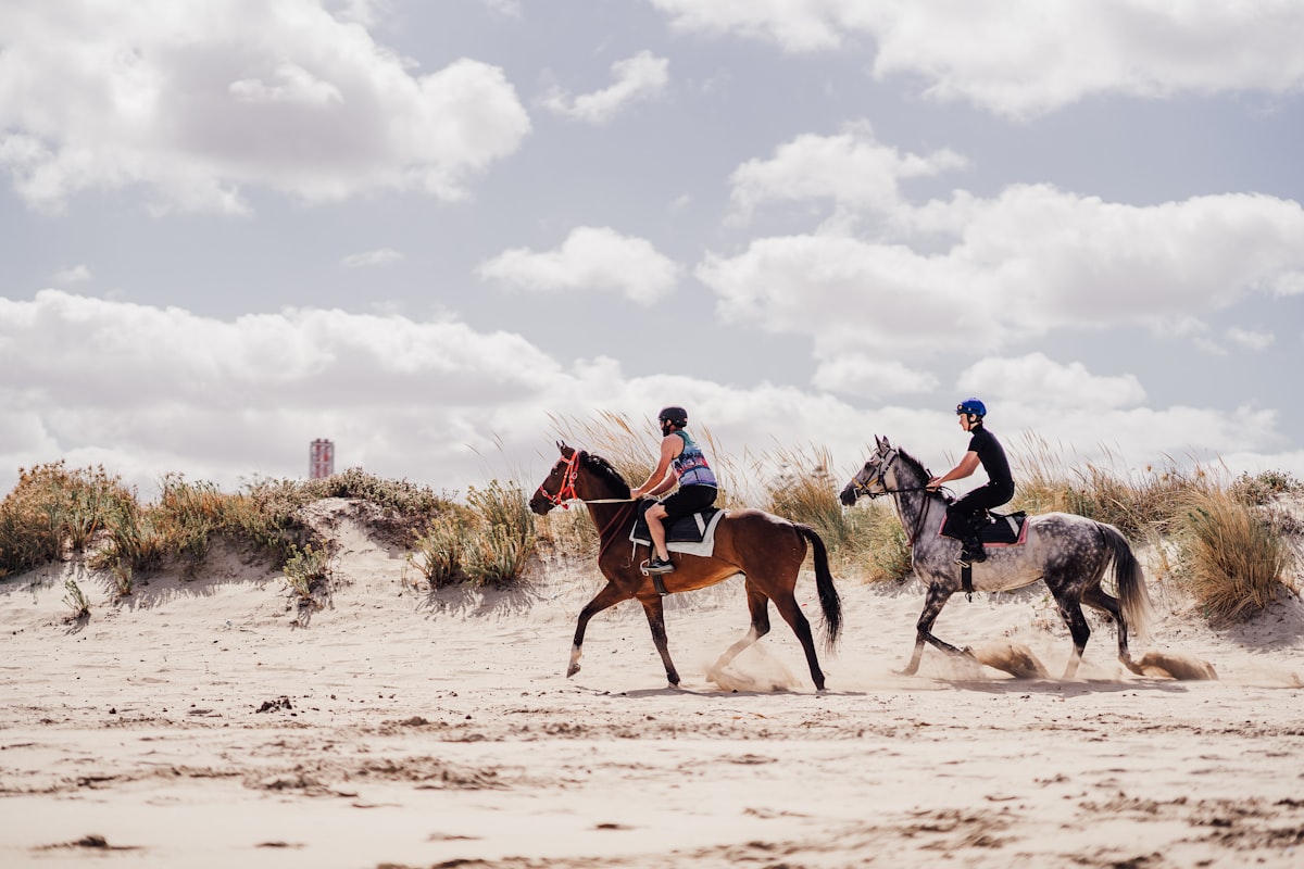 A couple riding horses on the beach