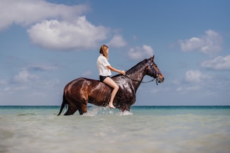 Horse and rider crossing a shallow stream near San Juanillo beach under clear skies.