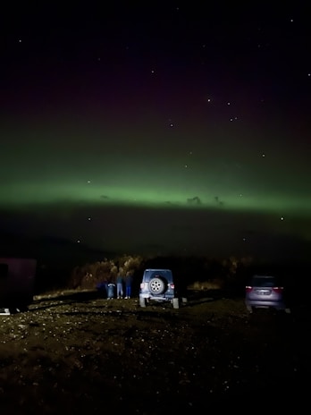 Travelers gazing at the shimmering aurora borealis lighting up the night horizon.