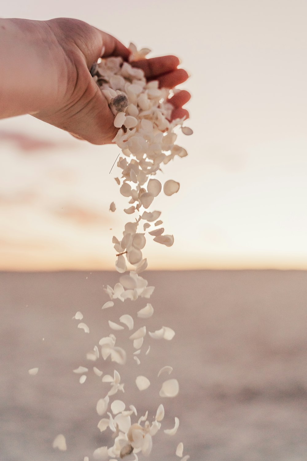 a hand holding a bunch of white flowers