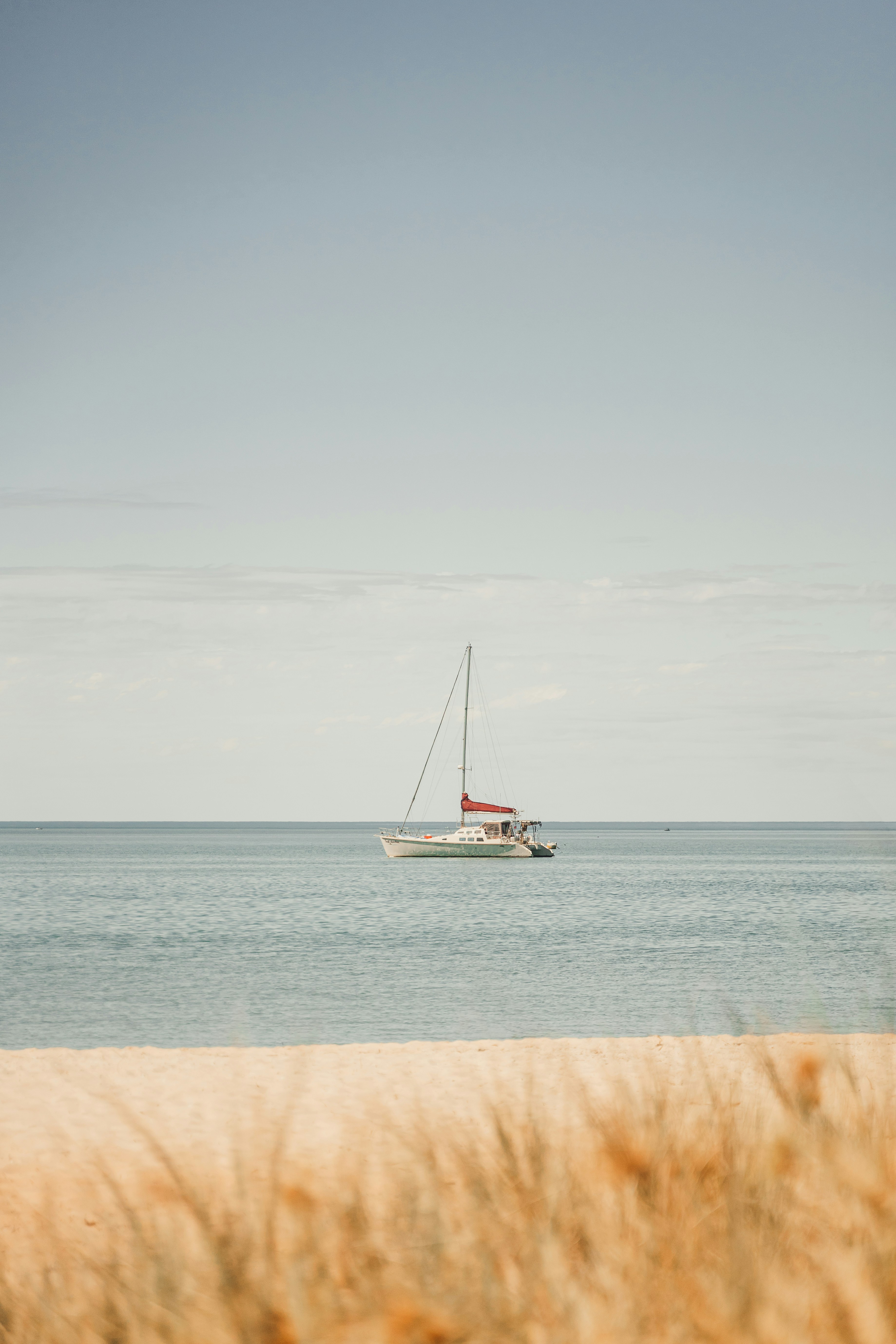 Monkey Mia, Western Australia