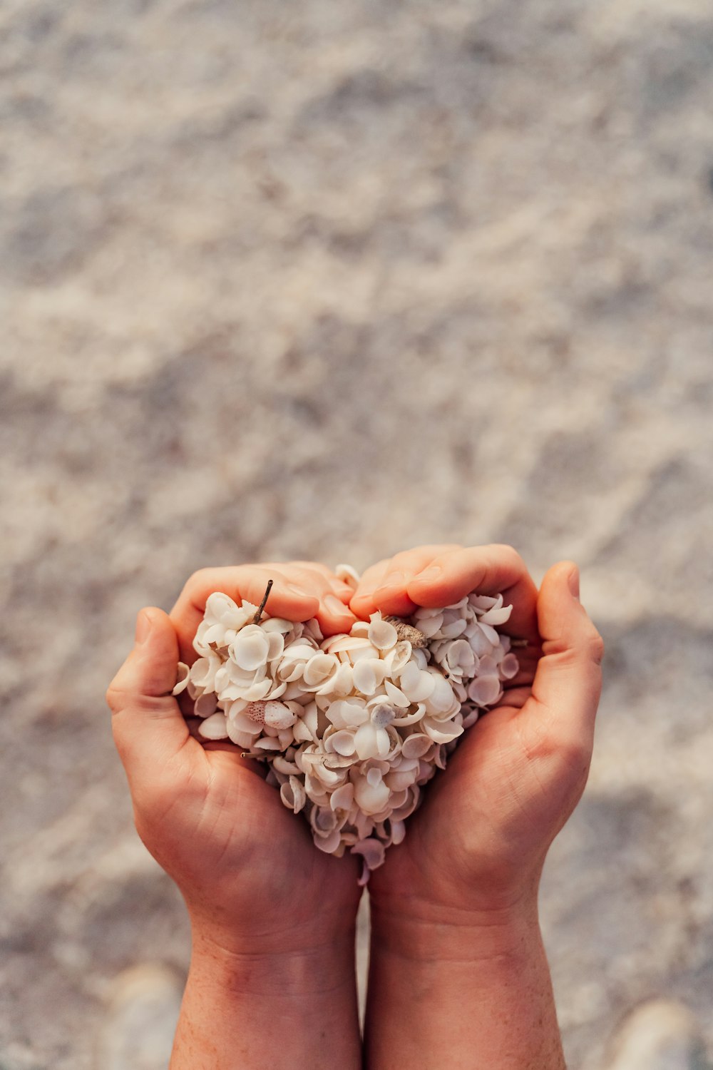 a person holding a bunch of flowers in their hands