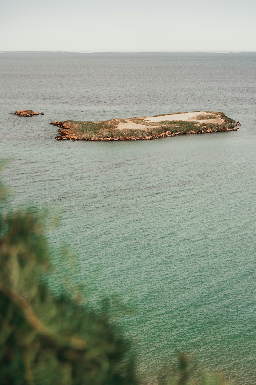 Une île au milieu d’un plan d’eau