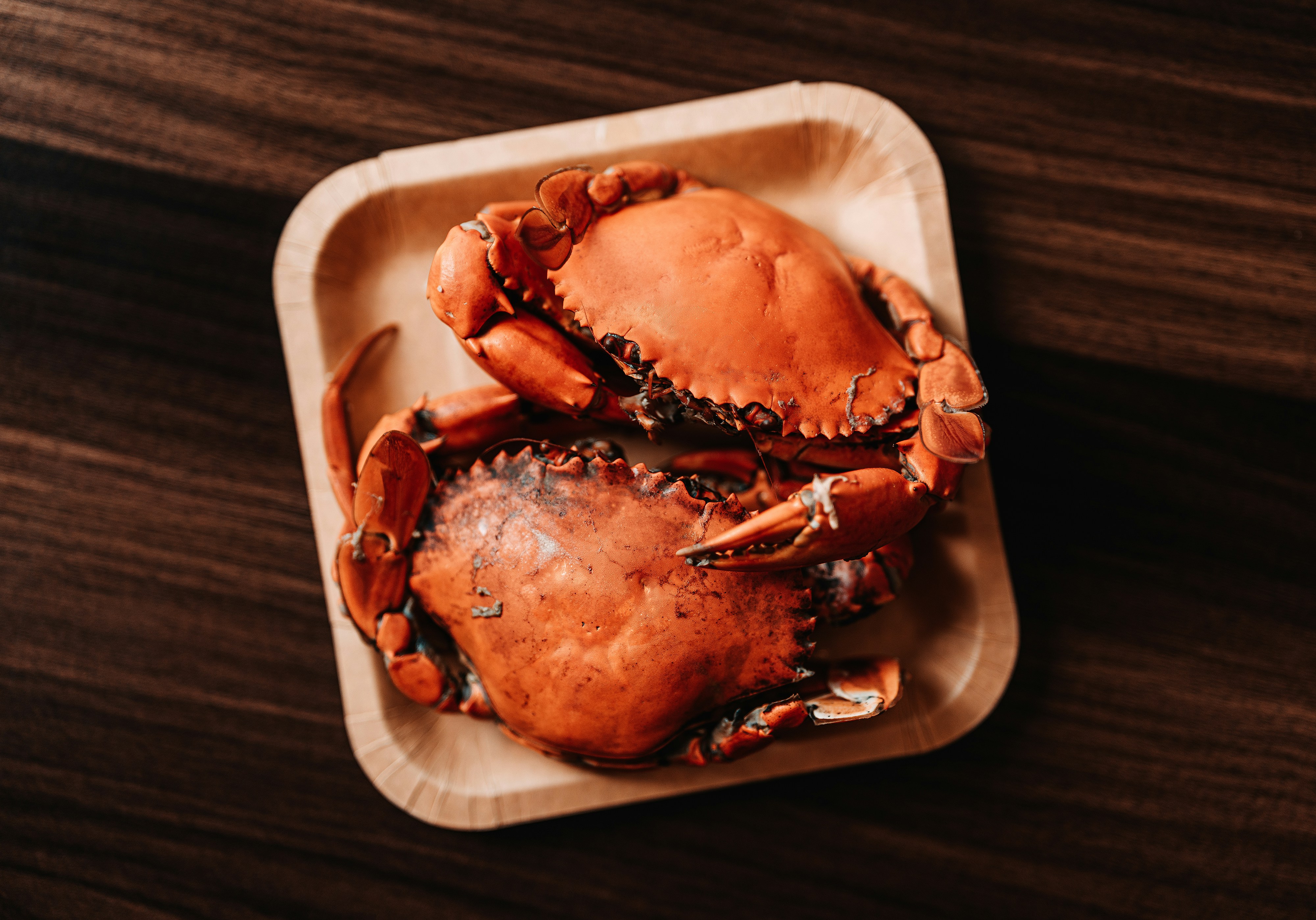 a close up of a plate of crab on a table