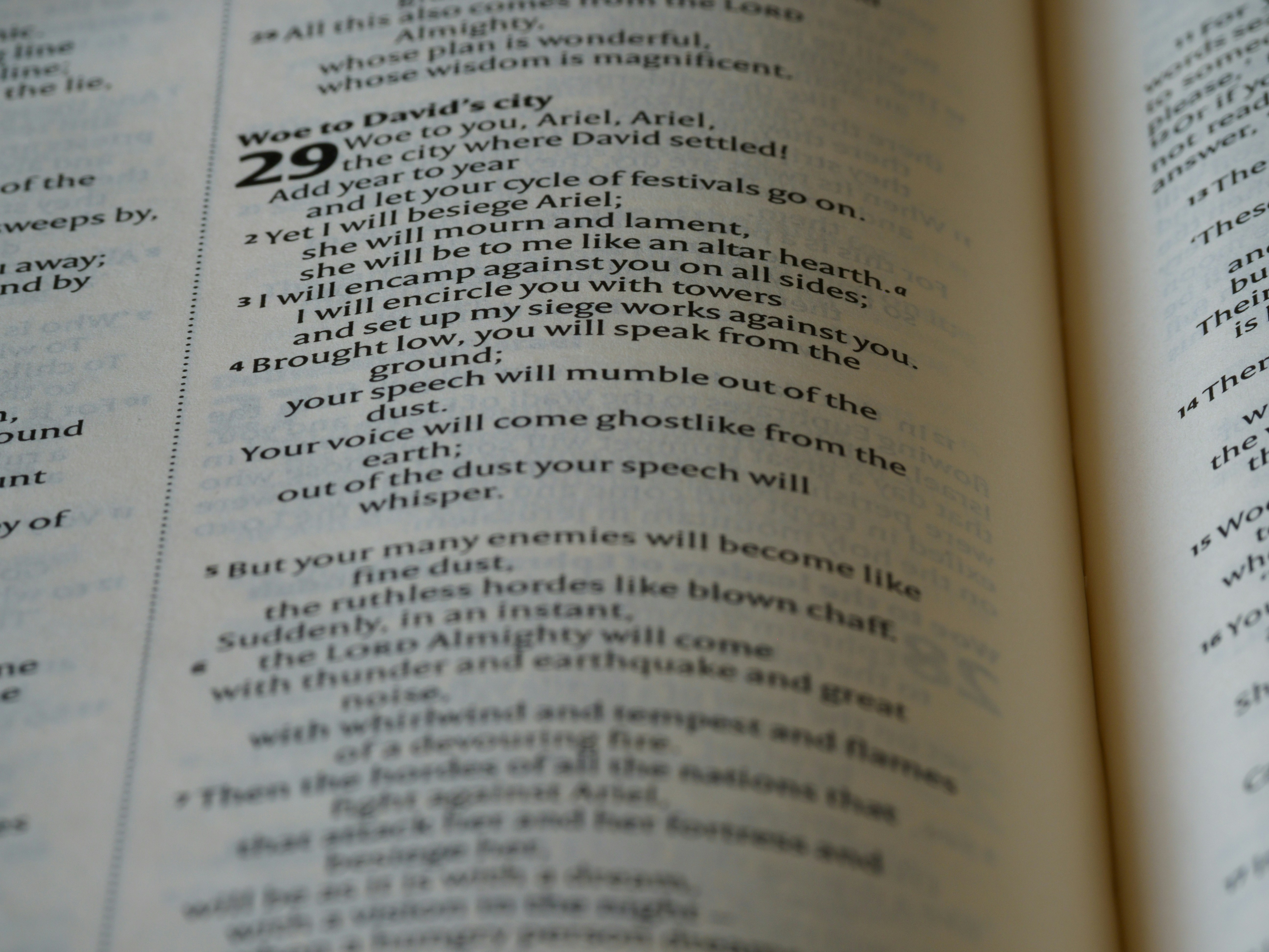 photo-1675062735266-e02bf7e75712?ixid=M3wxMjA3fDB8MXxzZWFyY2h8MTJ8fGRhZnRhciUyMHNlbGlyNzd8ZW58MHx8fHwxNzUyOTYzMDIzfDA\u0026ixlib=rb-4.1.0