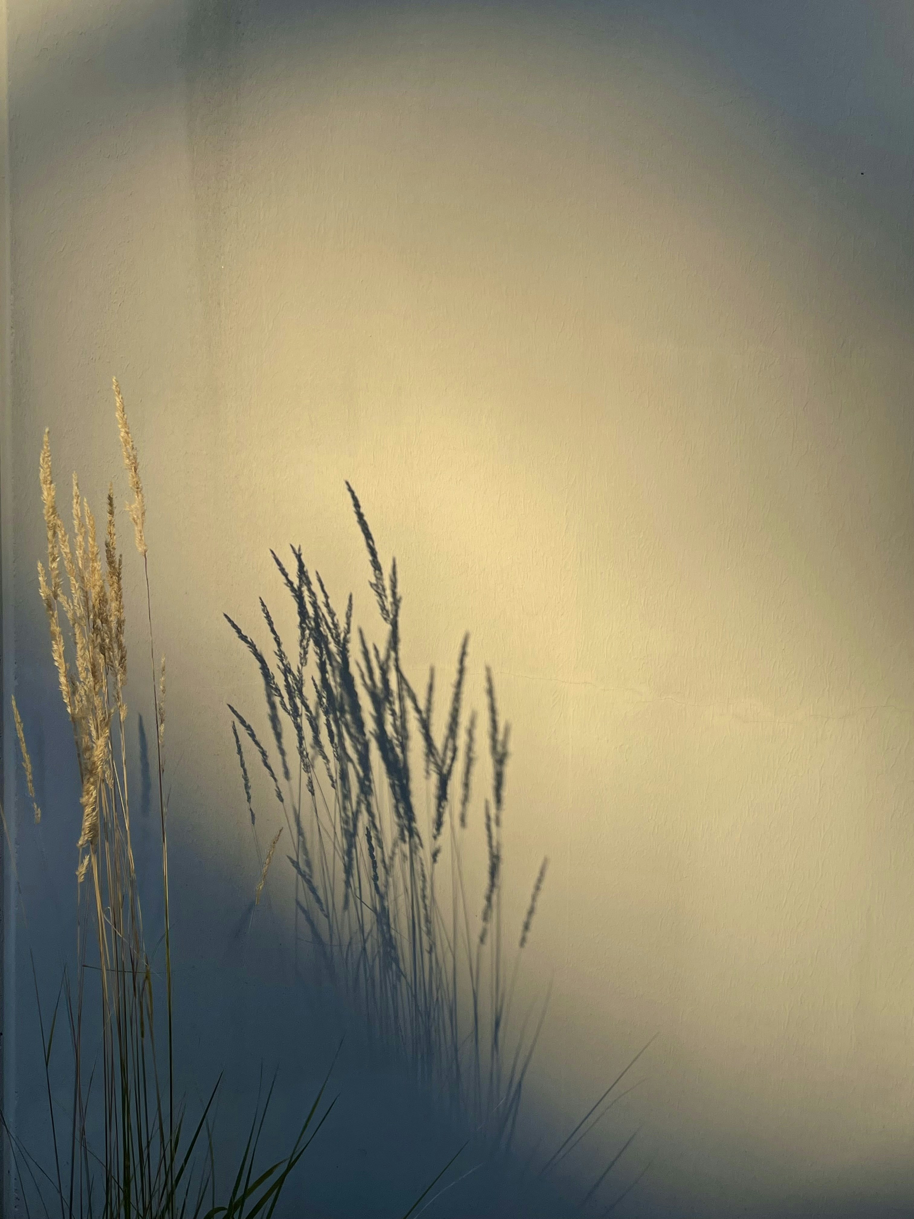 soft light wallpaper, wallpaper, Portrait Locations: Choosing Meaningful Backdrops 3