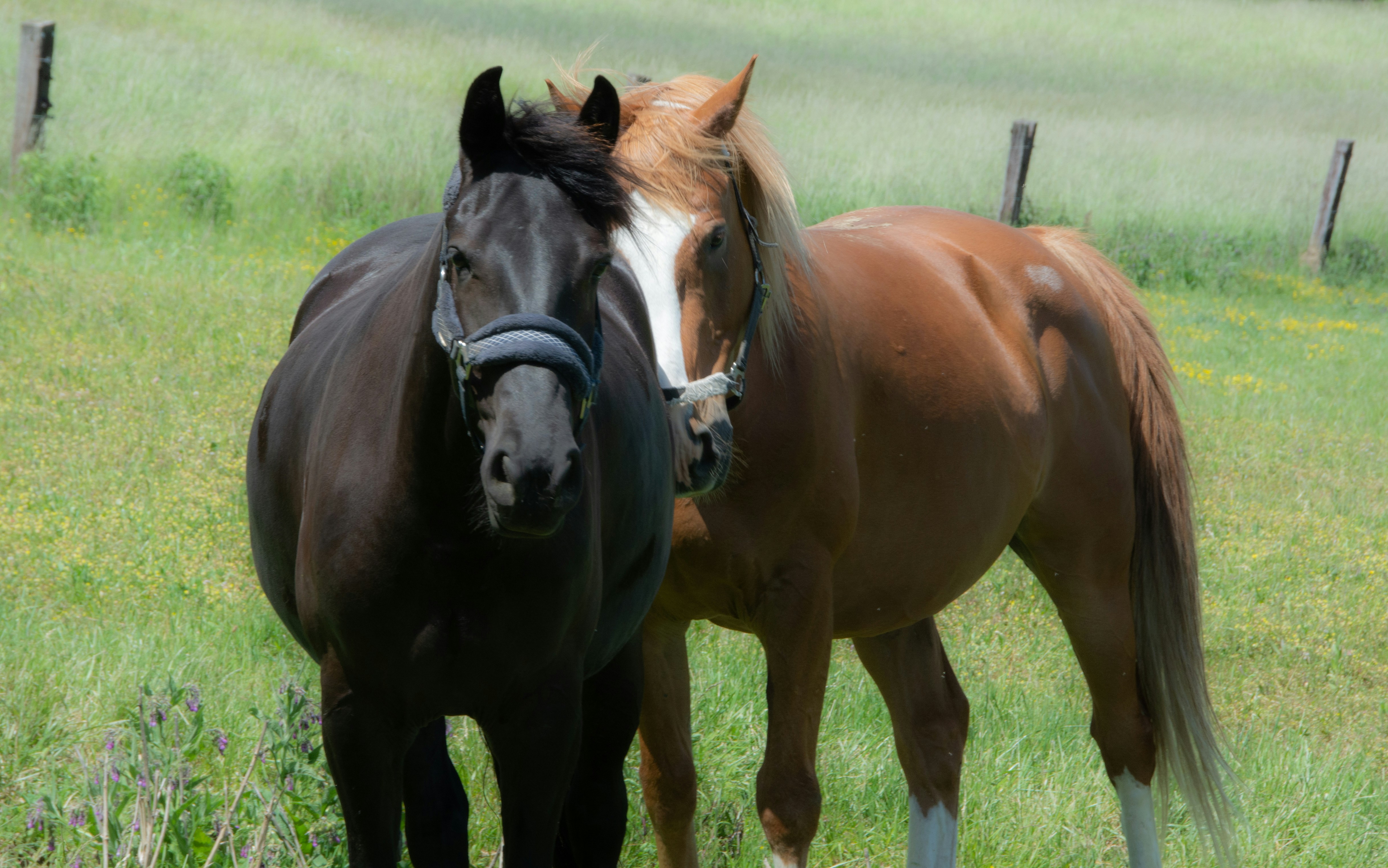 Photo by emotionphotography_by_gabi