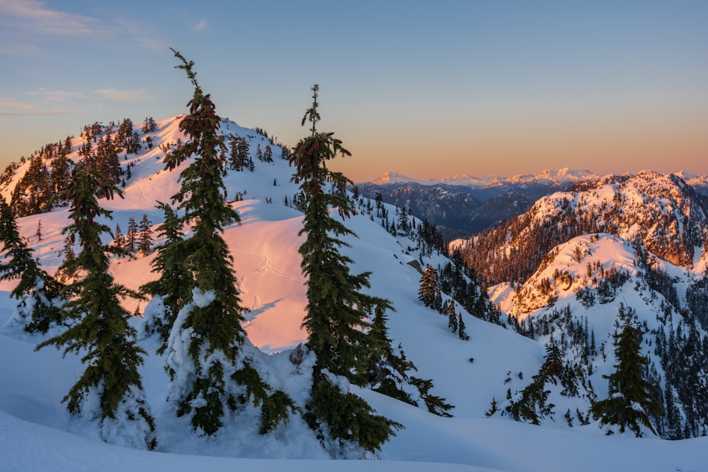 a mountain covered in snow with trees in the foreground