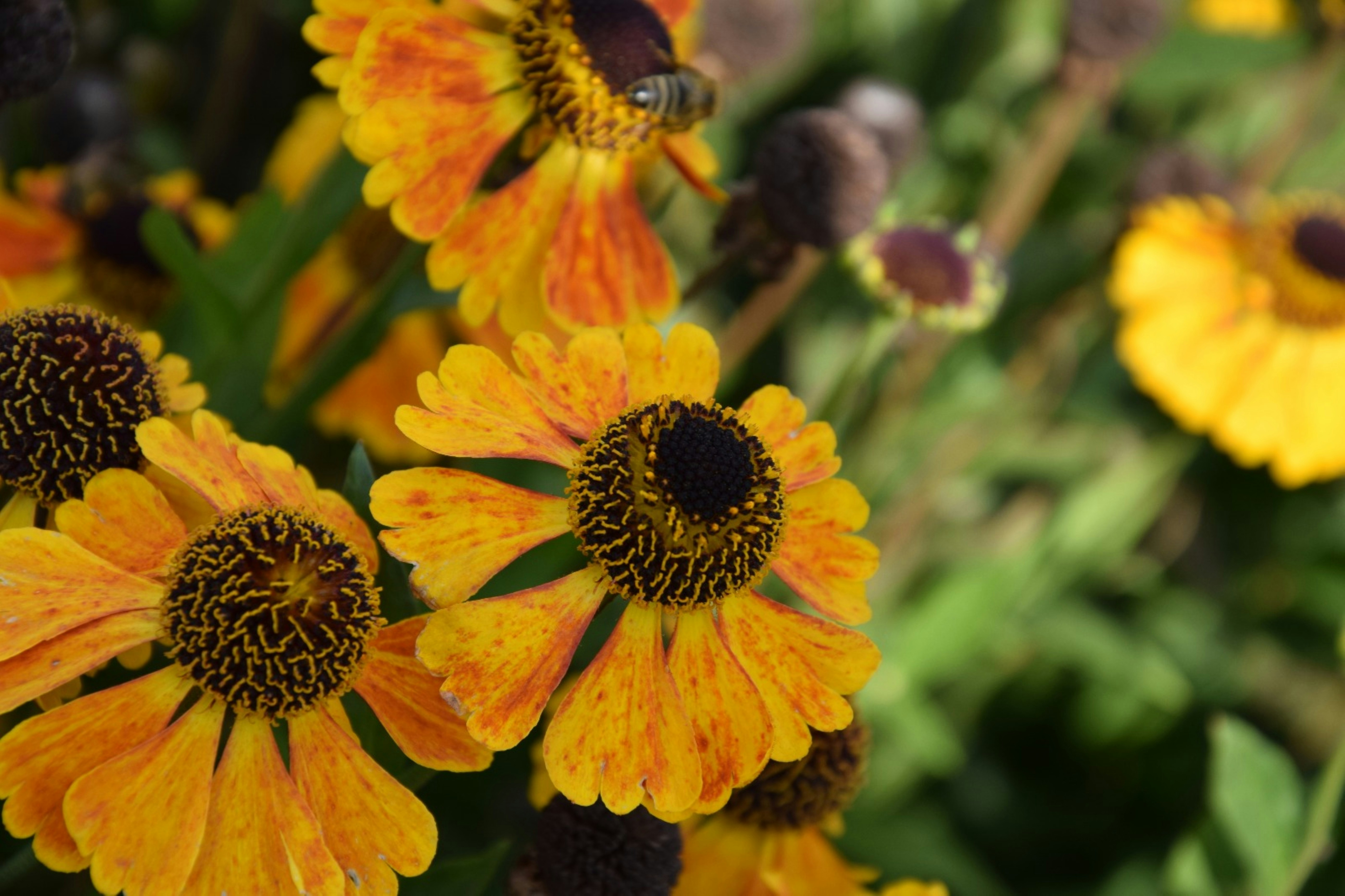 Photo by through_the_eyes_of_ireen