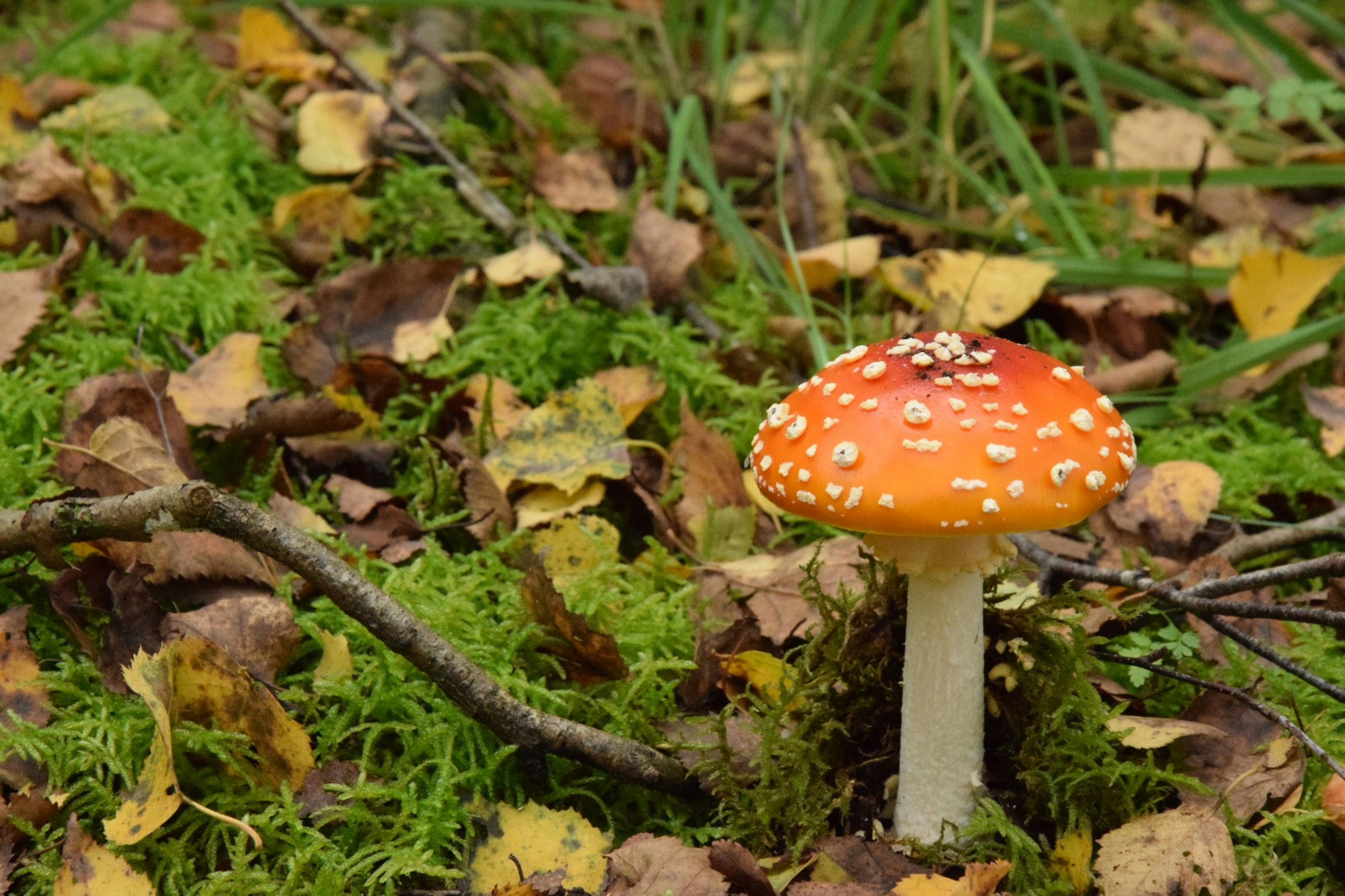 Photo by through_the_eyes_of_ireen