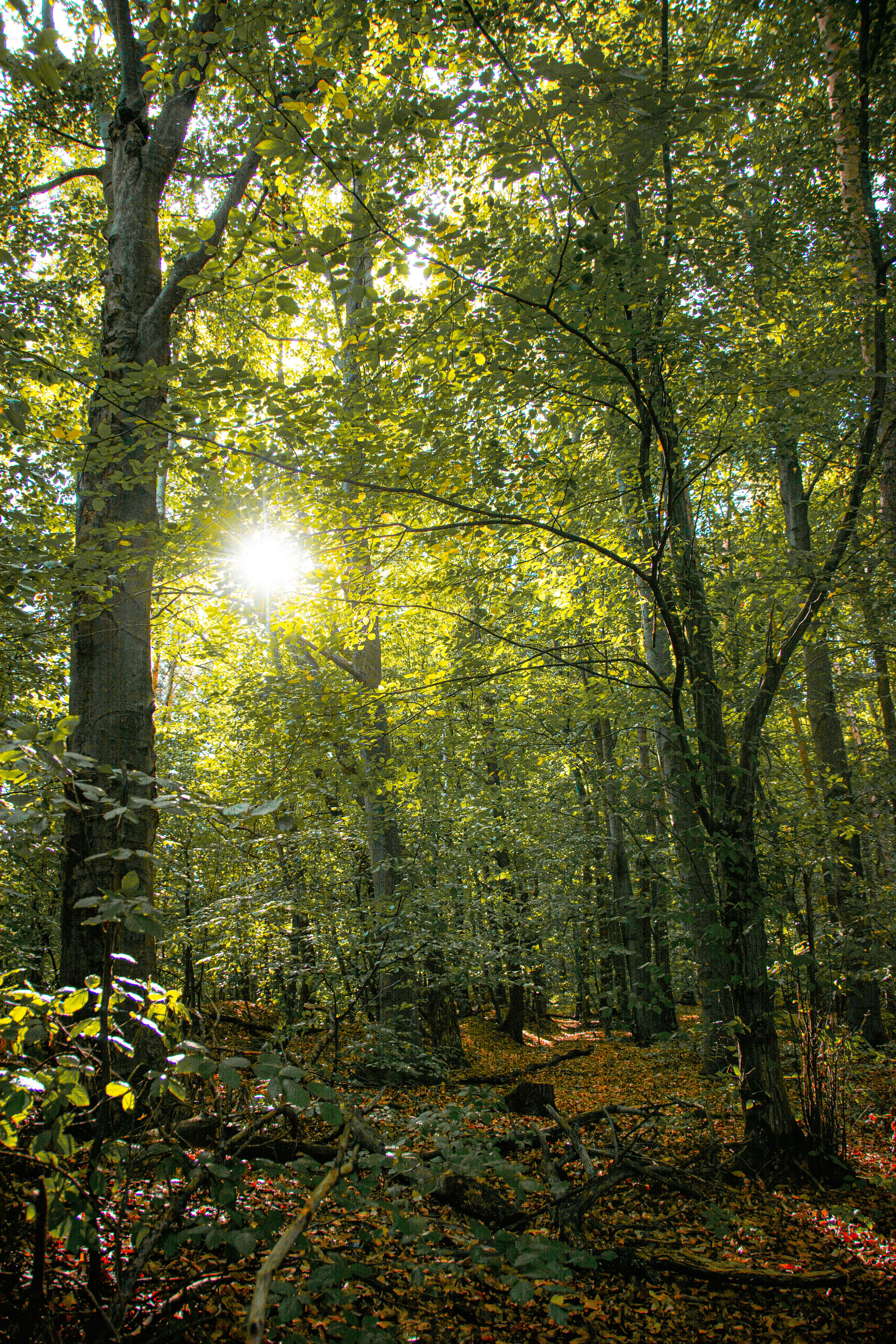 Photo by emotionphotography_by_gabi