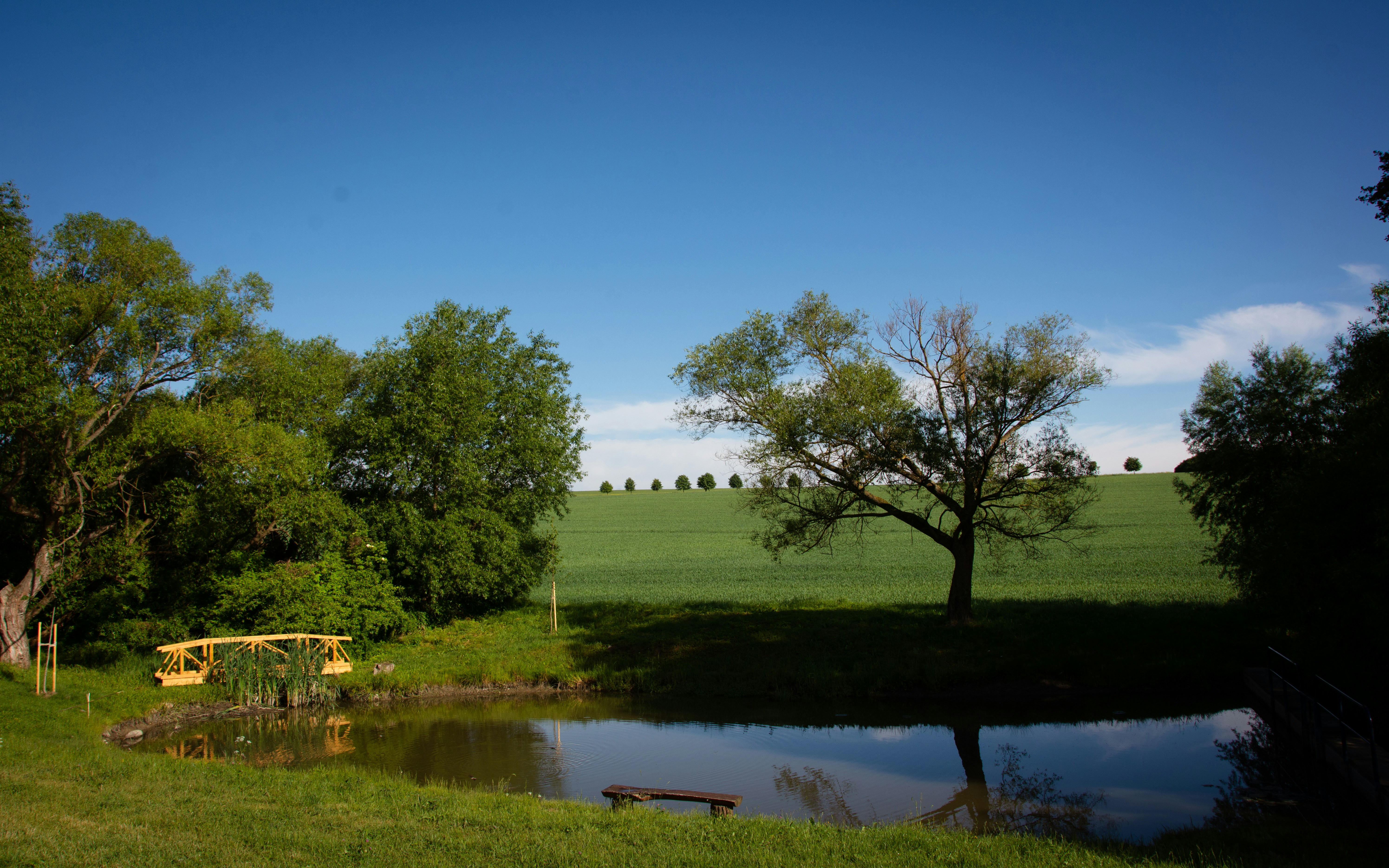 Photo by emotionphotography_by_gabi