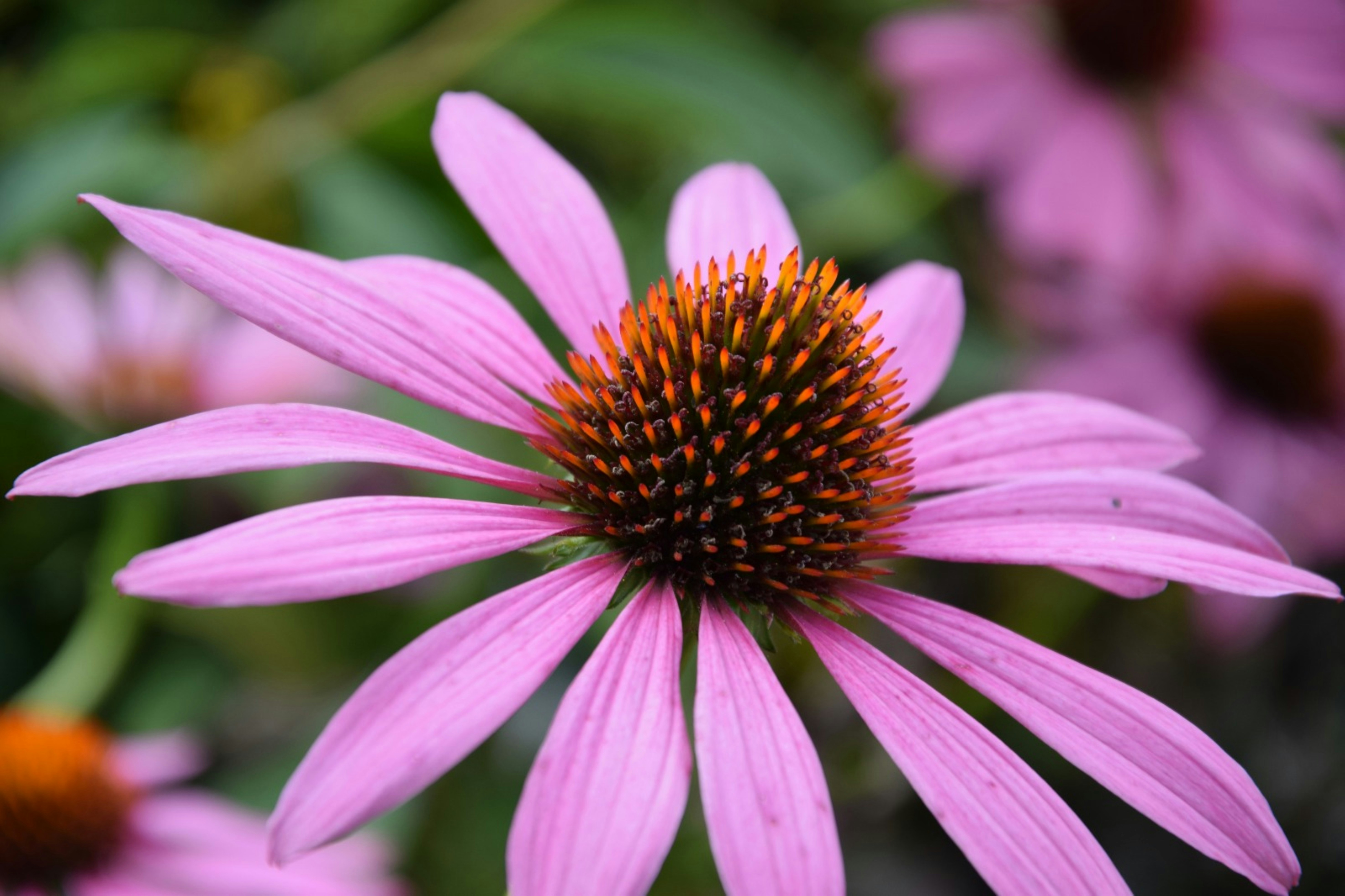 Photo by through_the_eyes_of_ireen