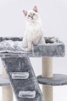 A luxurious cat tree with multiple levels and cozy spots.