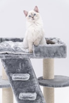 A fluffy cat with blue eyes is sitting on a soft, gray cat tree. The cat appears relaxed and attentive, with one paw slightly raised. The cat tree has a plush texture and multiple levels connected by a ladder covered in the same gray material.
