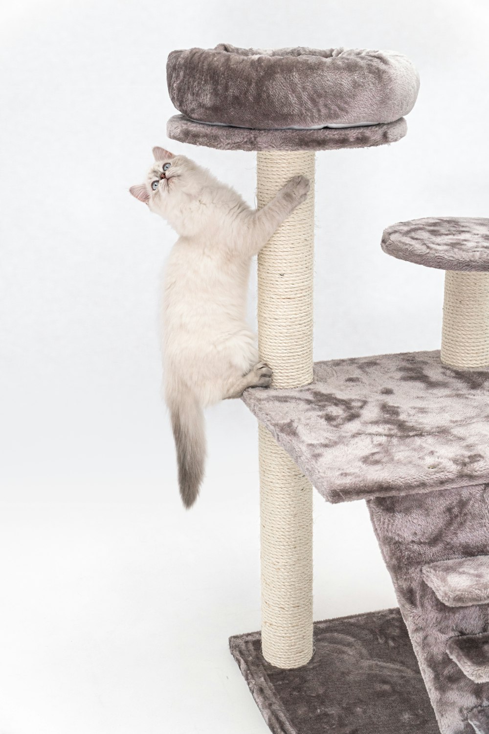 a cat climbing up the side of a cat tree