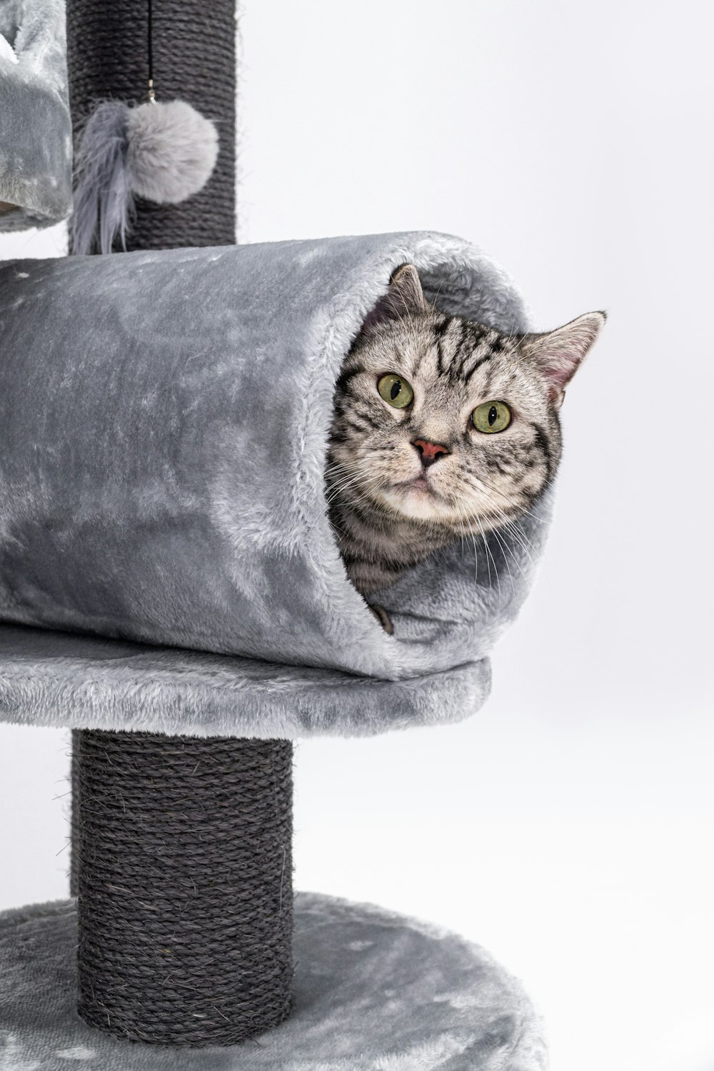 a cat peeking out of a cat tree