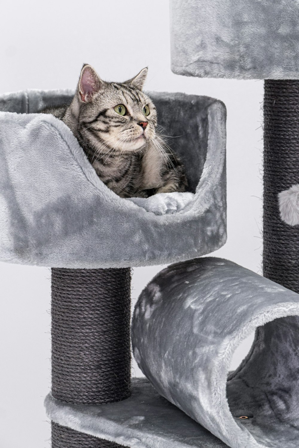a cat is laying in a cat tree