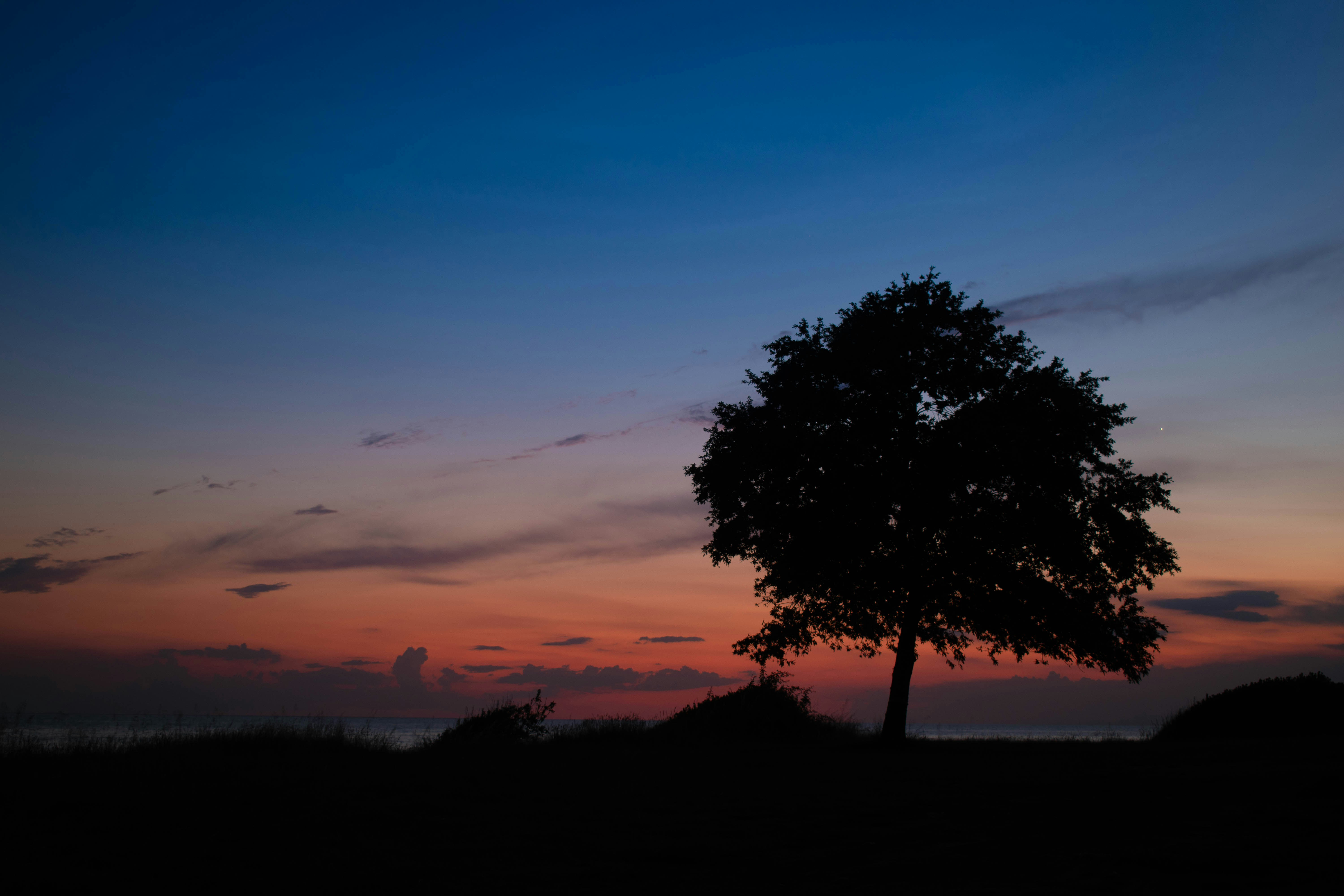Photo by justmysnapshots