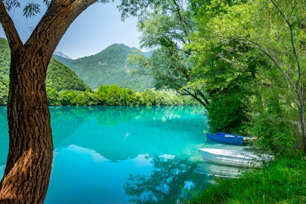 a boat is sitting on the shore of a lake