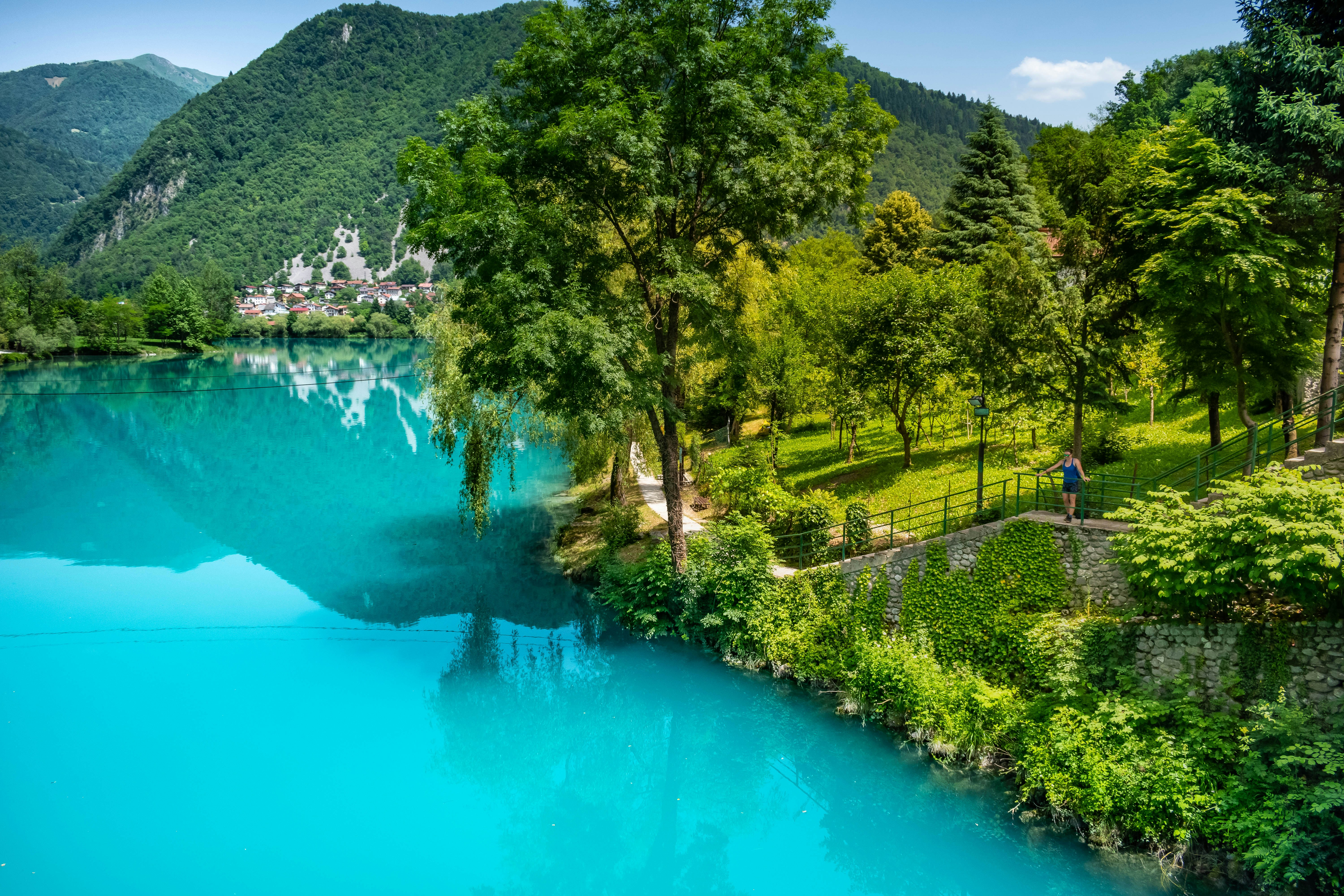 a blue river surrounded by lush green trees