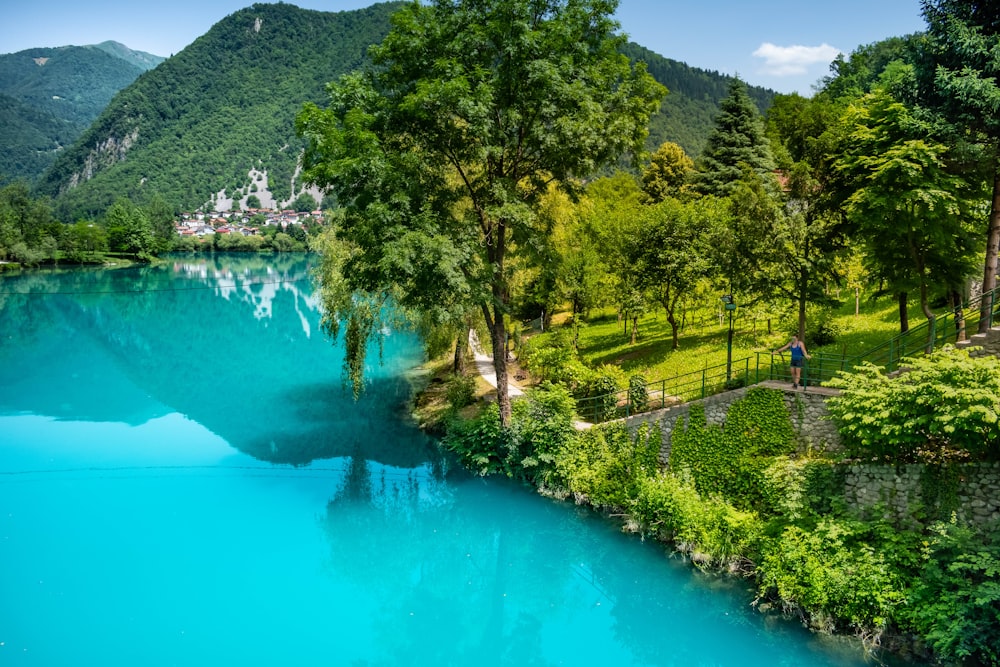 a blue river surrounded by lush green trees