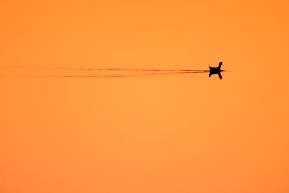 a plane flying in the sky at sunset