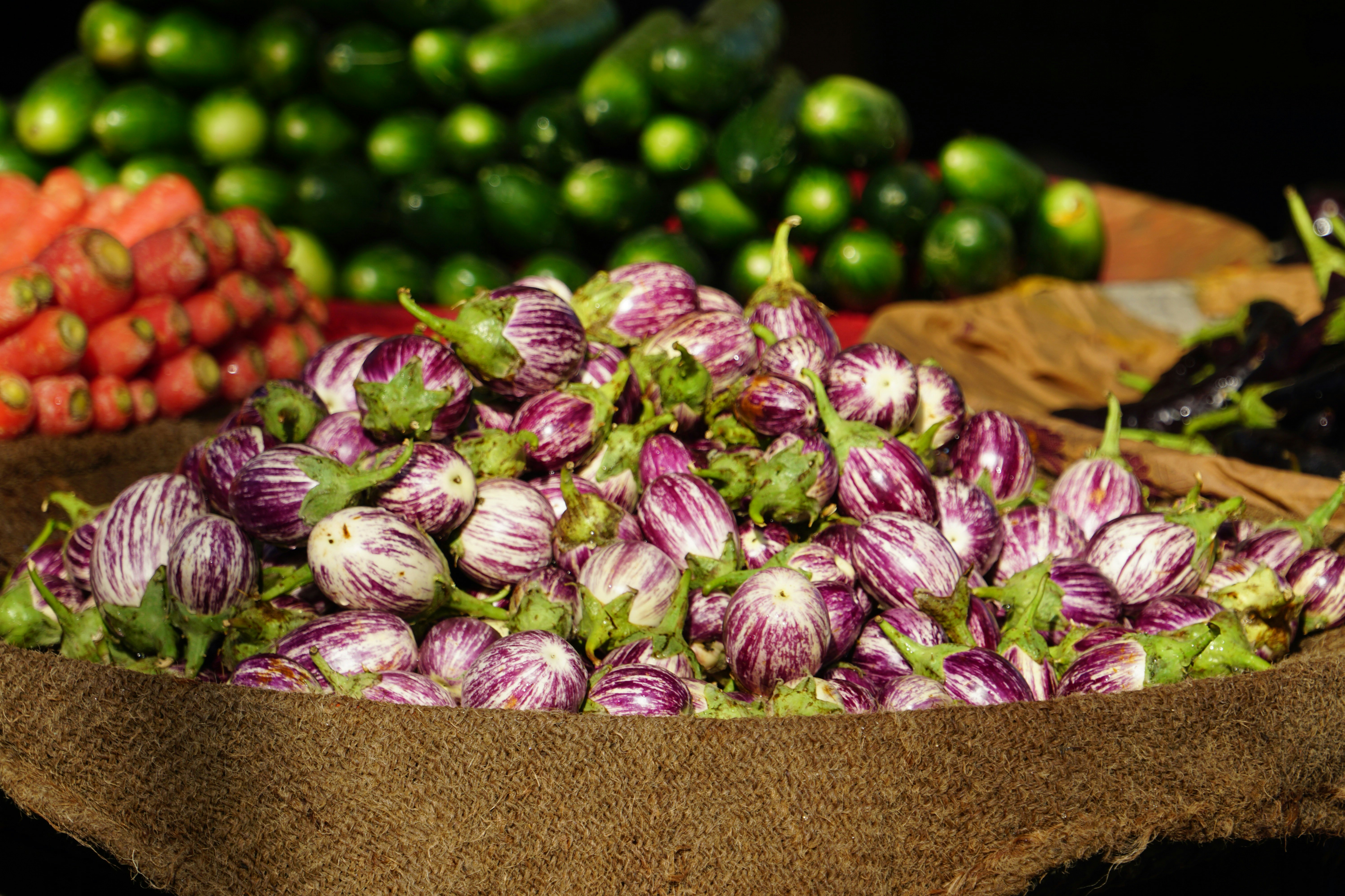Melanzane: proprietà, benefici e utilizzi in cucina dell’ortaggio viola