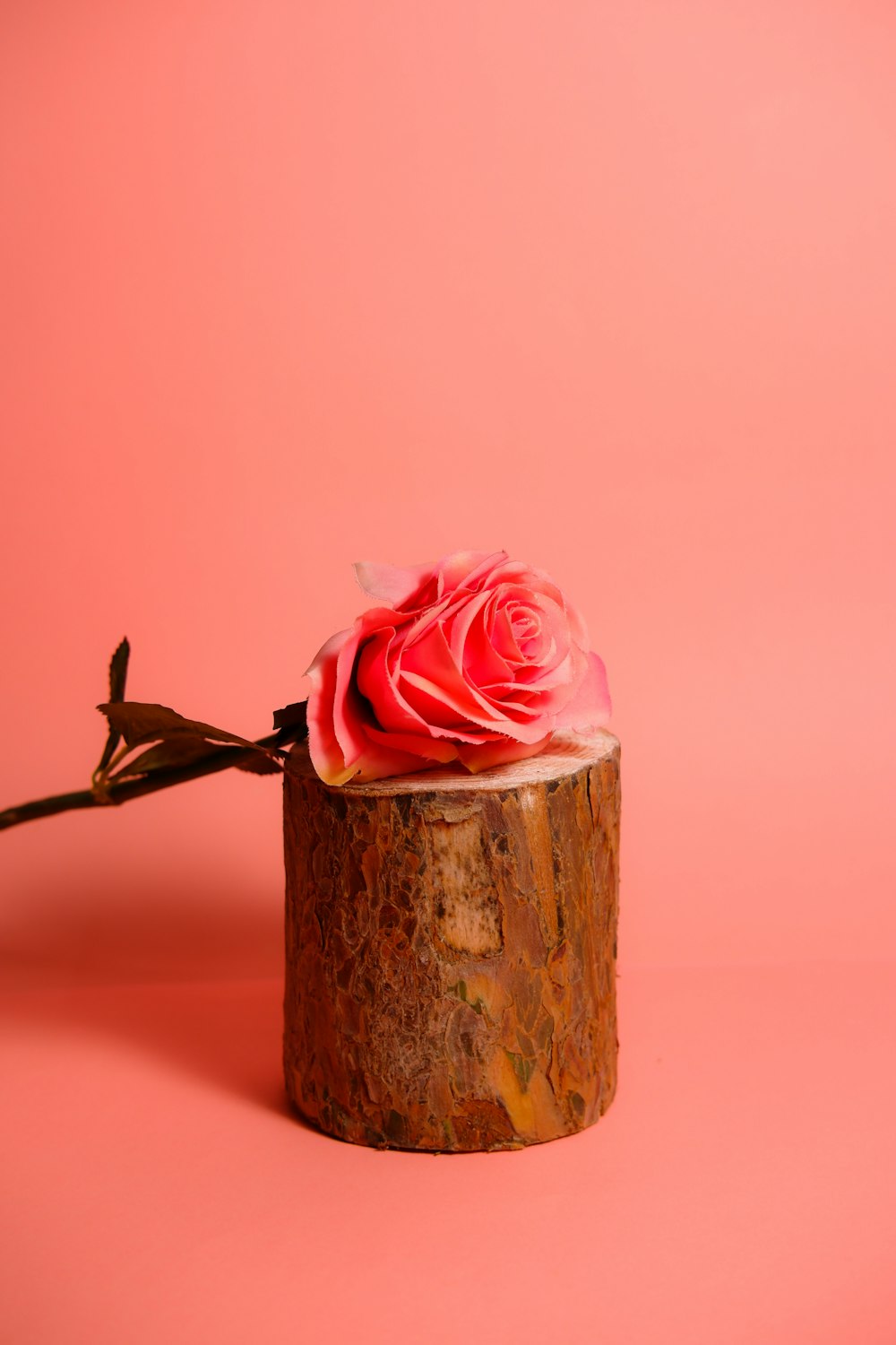 a single pink rose sitting on top of a wooden stump