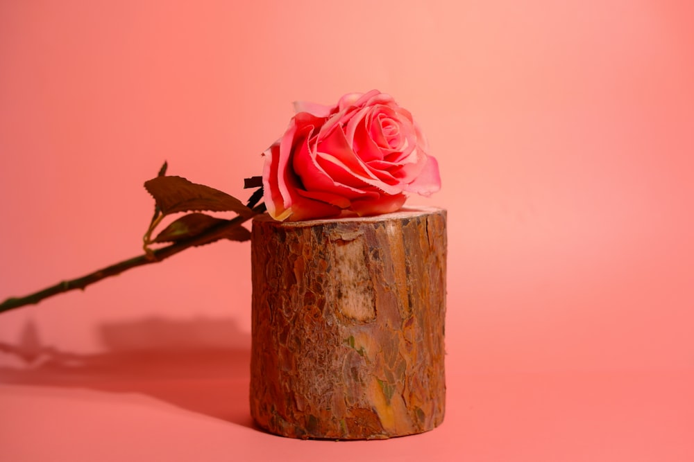 a single pink rose sitting on top of a piece of wood