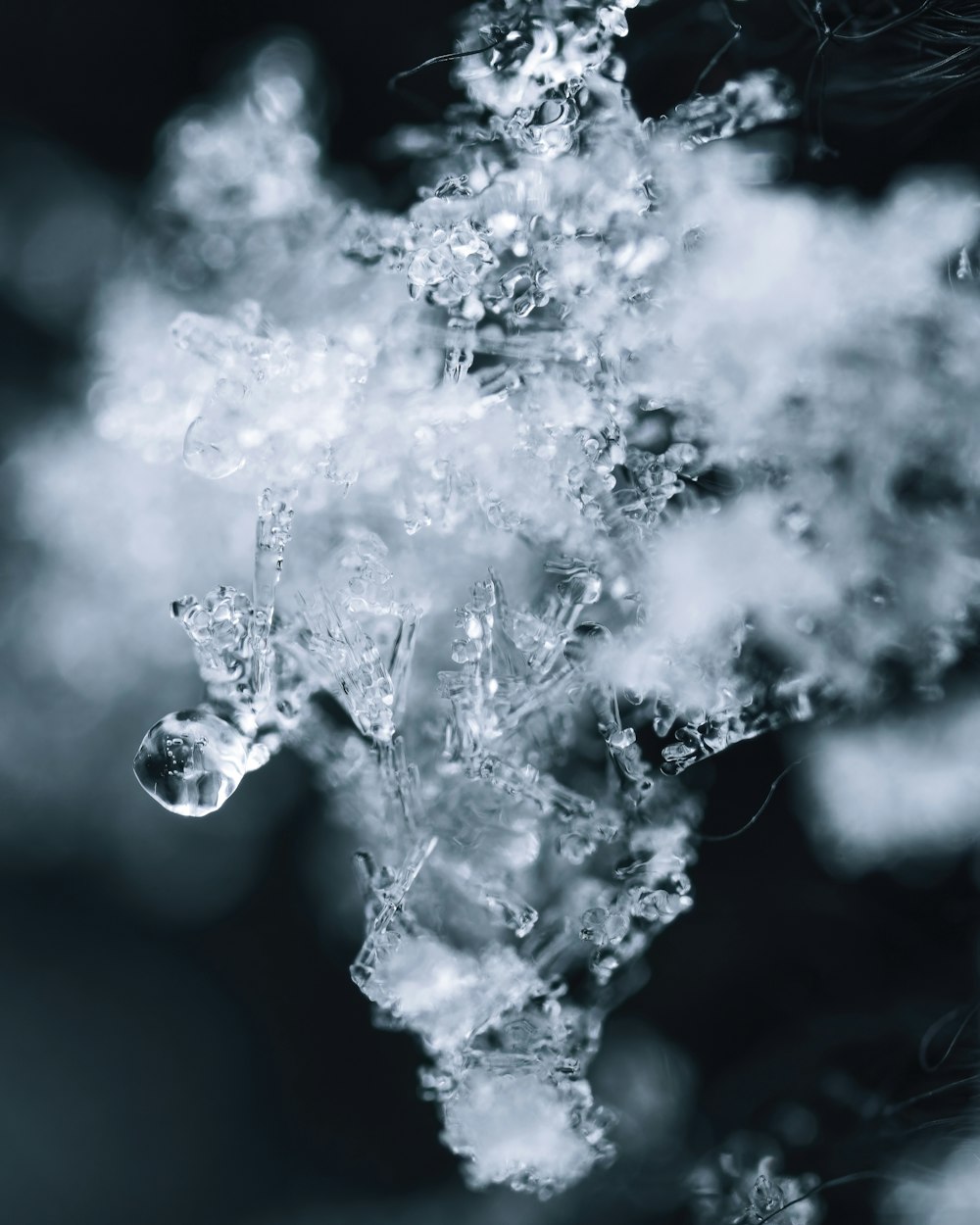 a close up of a bunch of ice crystals