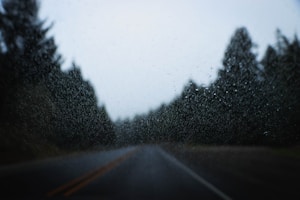 All-Weather Wipers