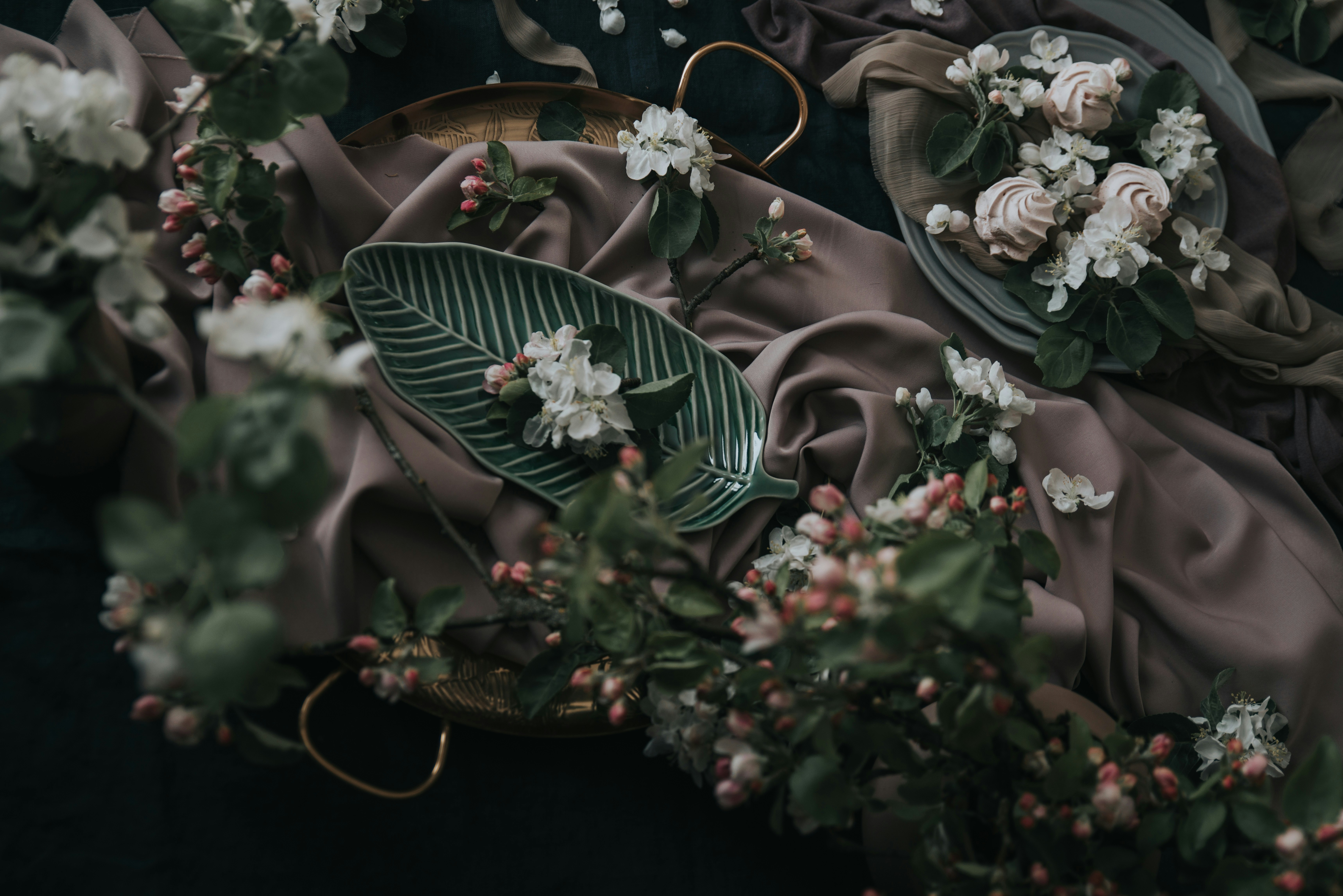 Photo by anitaaustvika