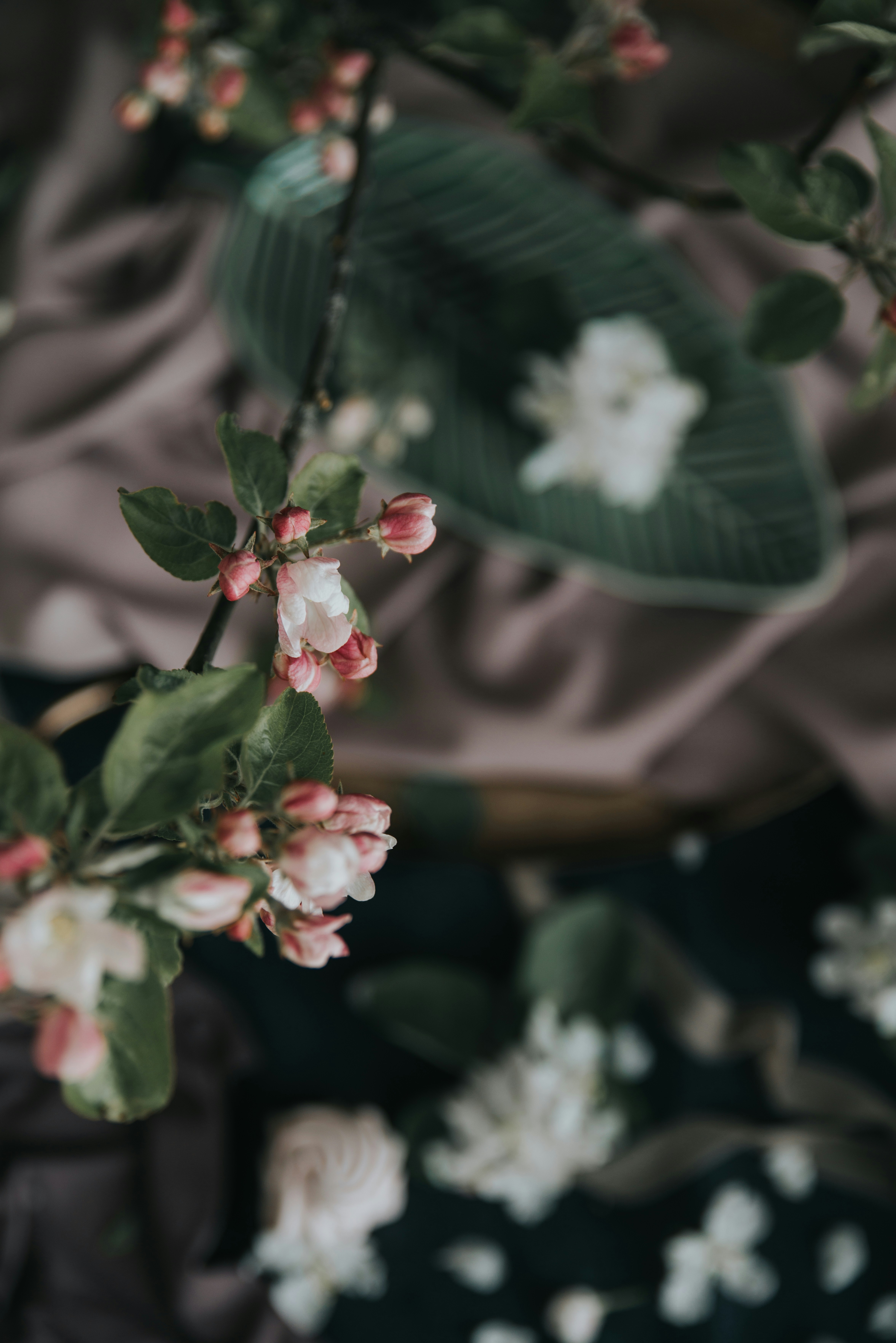 Photo by anitaaustvika